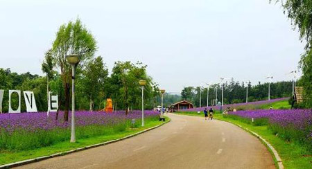 南陽(yáng)十大最好玩的景點(diǎn)，南陽(yáng)旅游景點(diǎn)大全簡(jiǎn)介