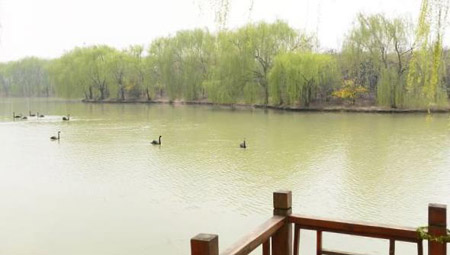 阜陽十大好玩的地方，阜陽有什么好玩的地方景點(diǎn)